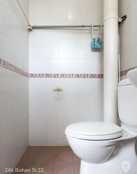 Blk 246 Bishan Street 22 (Bishan), HDB 4 Rooms #638365501